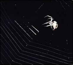 akk�˿���������Ƶ�����Ű췢�����˺�ʮ������������ǳ�Υ������...